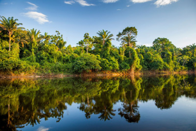 Foto aus Suriname