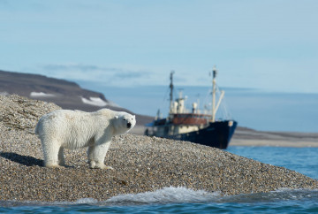 Arktis Reise - Spitzbergen 