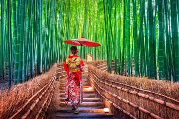 Japan Reise: Bonsai Wald