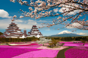 Japan Reise: Kirschblüte & Frühling