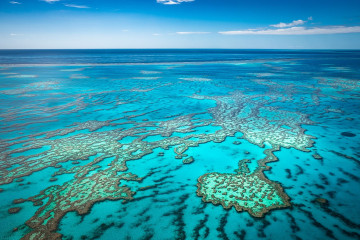 Australien Reise - Great Barrier Reef