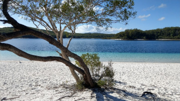 Australien Reise - Lake McKenzie