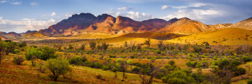 Australien Reise - Flinders Ranges Nationalpark