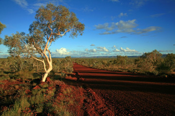 Australien Reise - Outback