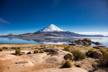 Chile Reise: Lauca Nationalpark