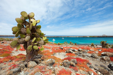 Galapagos Inseln 