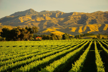 Neuseeland Reise - Blenheim