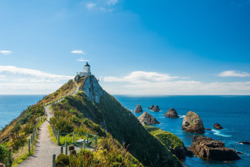 Neuseeland Reise - Nugget Point, Catlins