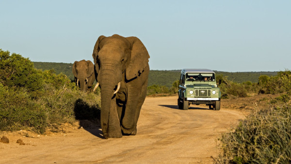 Impressionsfoto für Kleingruppenreise - Klassische Rundreise & Südafrika Safari