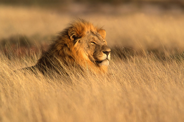 Impressionsfoto für Kleingruppenreise - Südafrika Entdecker