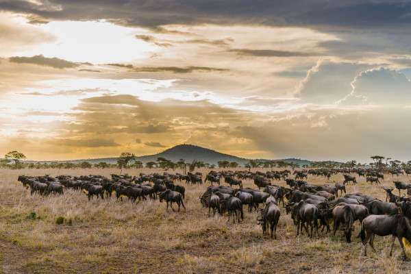 Impressionsfoto für Zugreise - Mit Rovos Rail quer durch Afrika