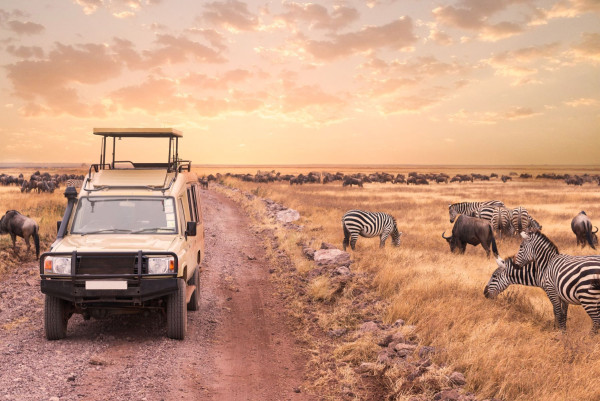 Impressionsfoto für Gruppenreise - Serengeti & Sansibar