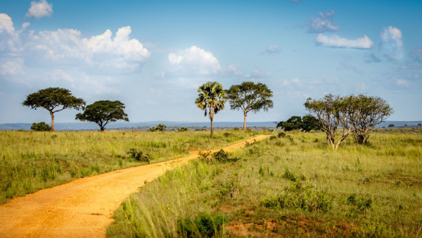 Impressionsfoto für Kleingruppenreise - Die Perle Afrikas