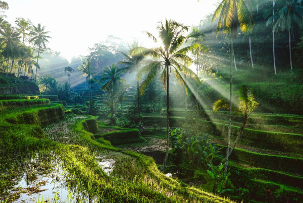 Impressionsfoto für Privatreise - Magisches Bali - Tempel, Vulkane & Traumstrände