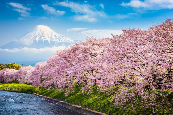 Impressionsfoto für Kleingruppenreise - Japan entspannt in der Kleingruppe