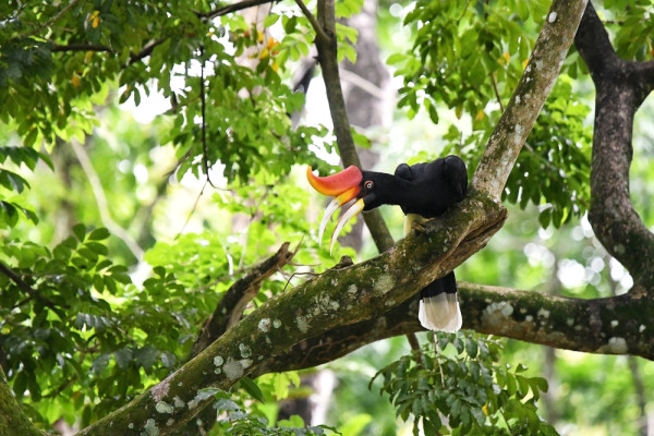 Impressionsfoto für Privatreise - Von Singapur zu den Höhepunkten Westmalaysias