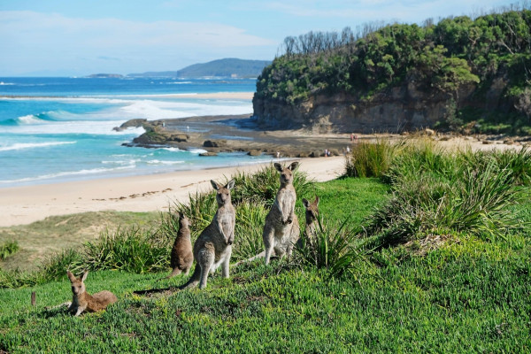 Impressionsfoto für Mietwagenrundreise - Wildromantisches New South Wales