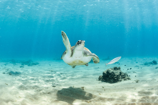 Impressionsfoto für Privatreise  - Inselhüpfen auf den Bahamas