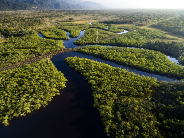 Impressionsfoto für Kleingruppenreise - Dschungelexpedition Mythos Amazonas