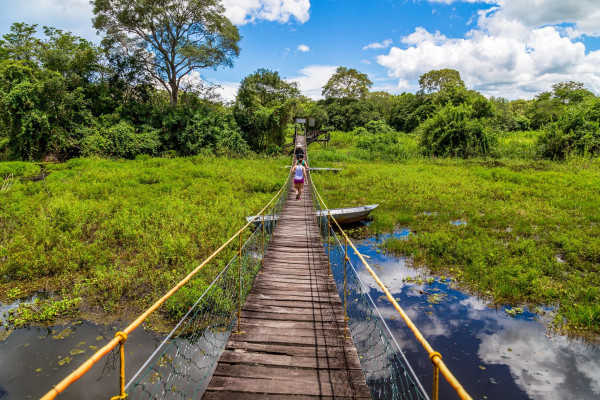Impressionsfoto für Mietwagenrundreise - Das Pantanal & Bonito