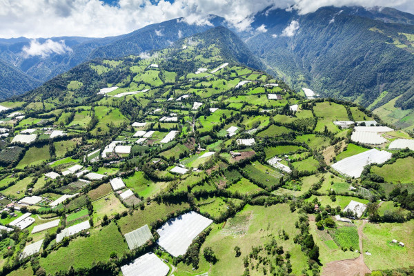 Impressionsfoto für Privatreise - Faszinierendes Ecuador