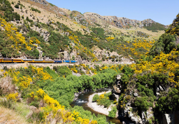 Impressionsfoto für Zug- und Mietwagenrundreise - Mit der Bahn durch Neuseeland