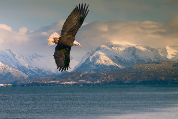 Impressionsfoto für Mietwagenrundreise - Alaska individuell erleben