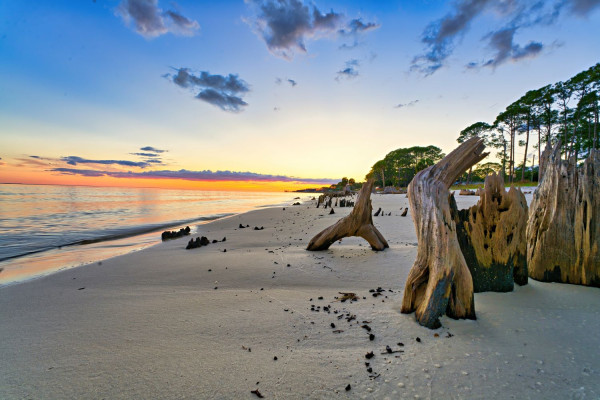 Impressionsfoto für Mietwagenrundreise - Hidden Gems of Florida - Amerikas vergessene Küste