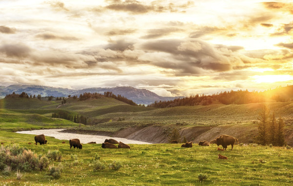 Impressionsfoto für Kleingruppenreise - Wandern vom Yellowstone zum Grand Canyon