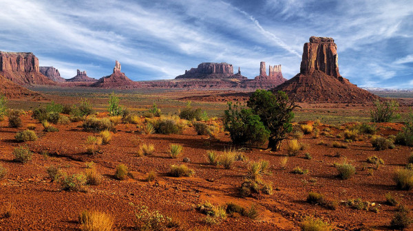 Impressionsfoto für Mietwagenrundreise - Nevada's Free-Range Art Highway – Kunst und Freiheit auf der offenen Straße