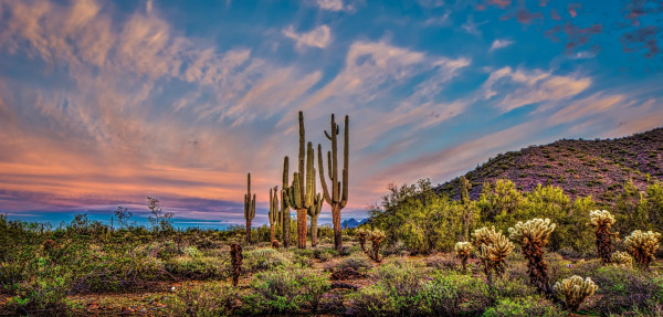 Impressionsfoto für Mietwagenrundreise - Facettenreiches Arizona