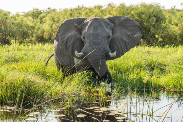 Namibia & Botswana Explorer