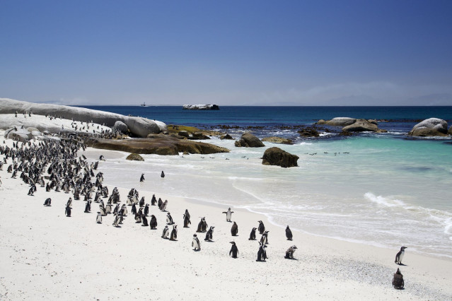Südafrika - Große Rundreise Garden Route