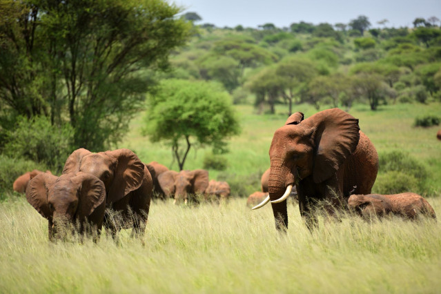Afrika Tansania Reise 