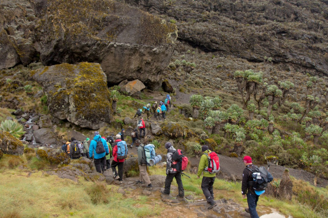 Tansania Reise - Kilimanjaro Besteigung