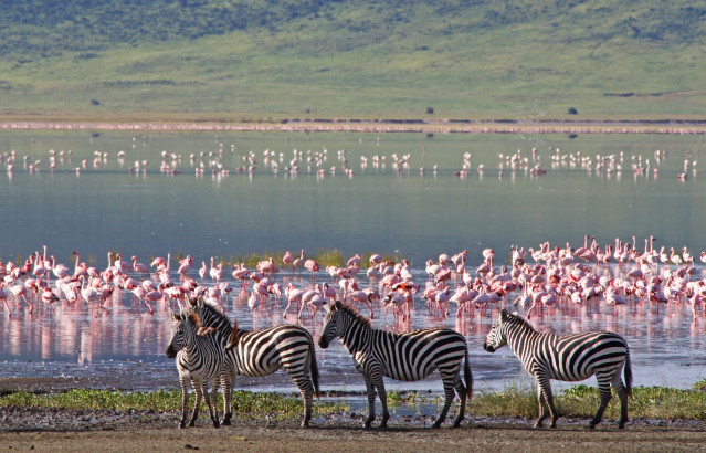 Afrika Tansania Reise