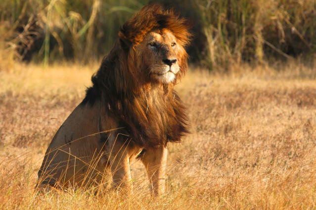 Afrika Tansania Reise