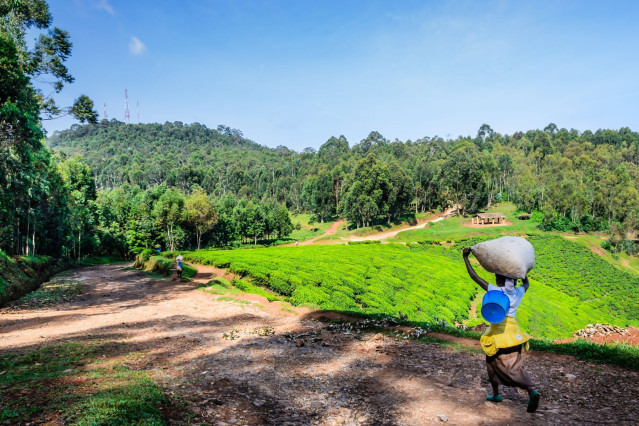 Uganda Ruanda 
