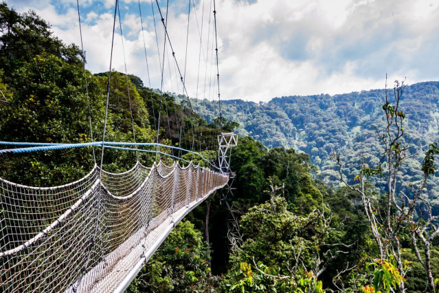 Nyungwe Forest Nationalpark