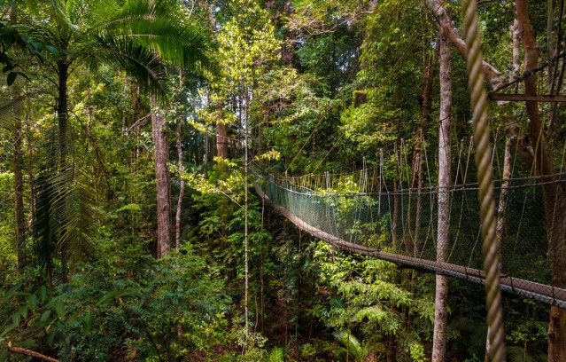 Malaysia Reise - Taman Negara Nationalpark 