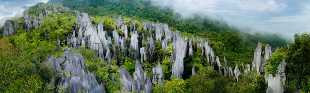 Malaysia Reise - Mulu Nationalpark