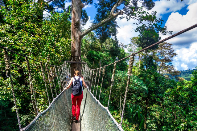 Malaysia Reise: Borneo
