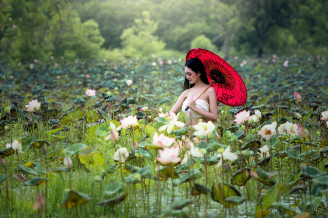 Reise Vietnam - Orchideen