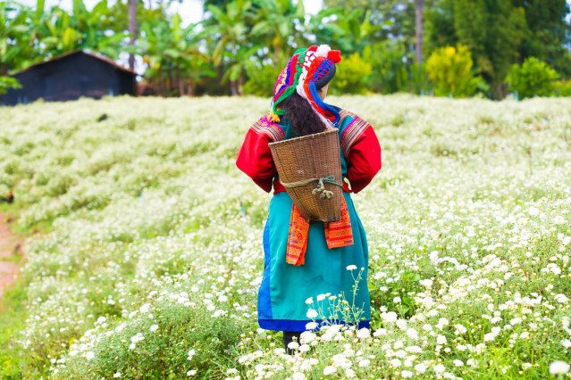 Vietnam Reise: Leute & Kultur in Sapa