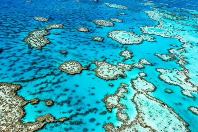 Australien Reise - Great Barrier Reef
