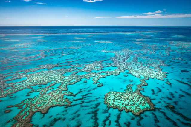 Australien Reise - Great Barrier Reef