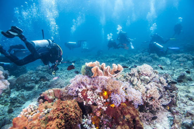 Australien Reise - Great Barrier Reef