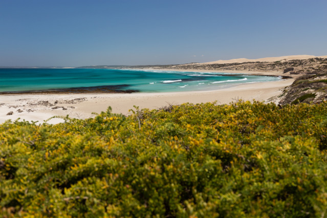 Australien Reise - Nullarbor-Ebene