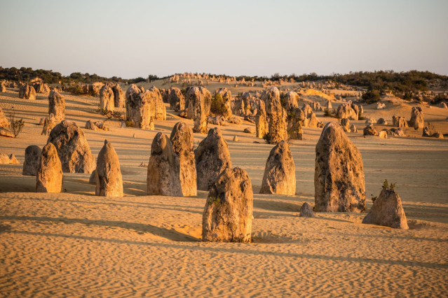 Australien Neuseeland Reise - Nambung Nationalpark/Pinnacles