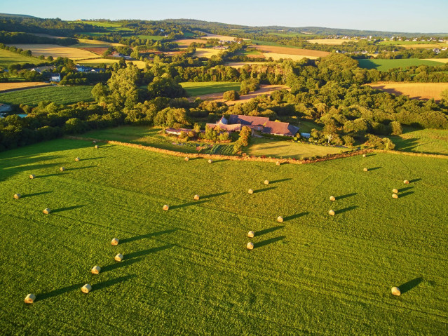 Grüne Bretagne